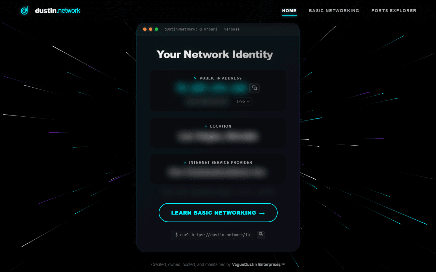 dustin.network terminal-themed dashboard showing network identity panels